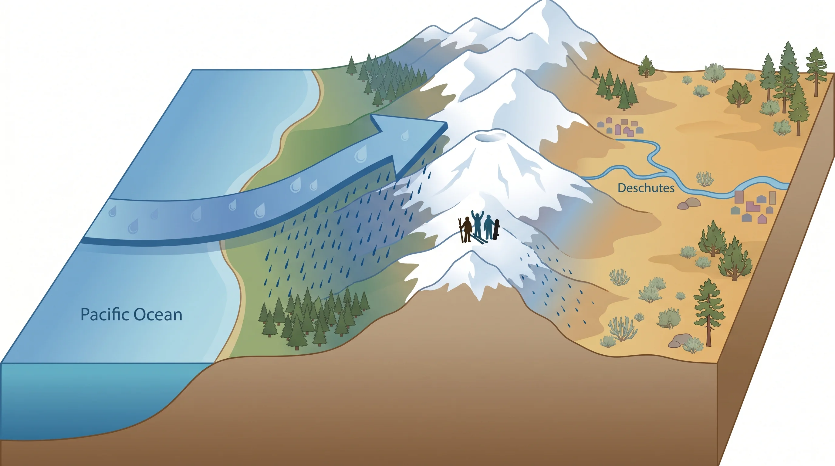 Diagram of an atmospheric river hitting the Cascades, raining on the west and snowing in the high country