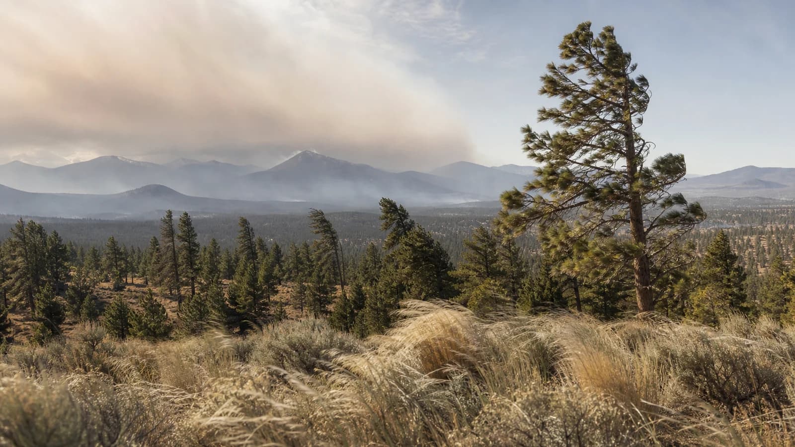 East Wind vs. West Wind in Central Oregon: Smoke, Fire Weather, and Temperature Changes