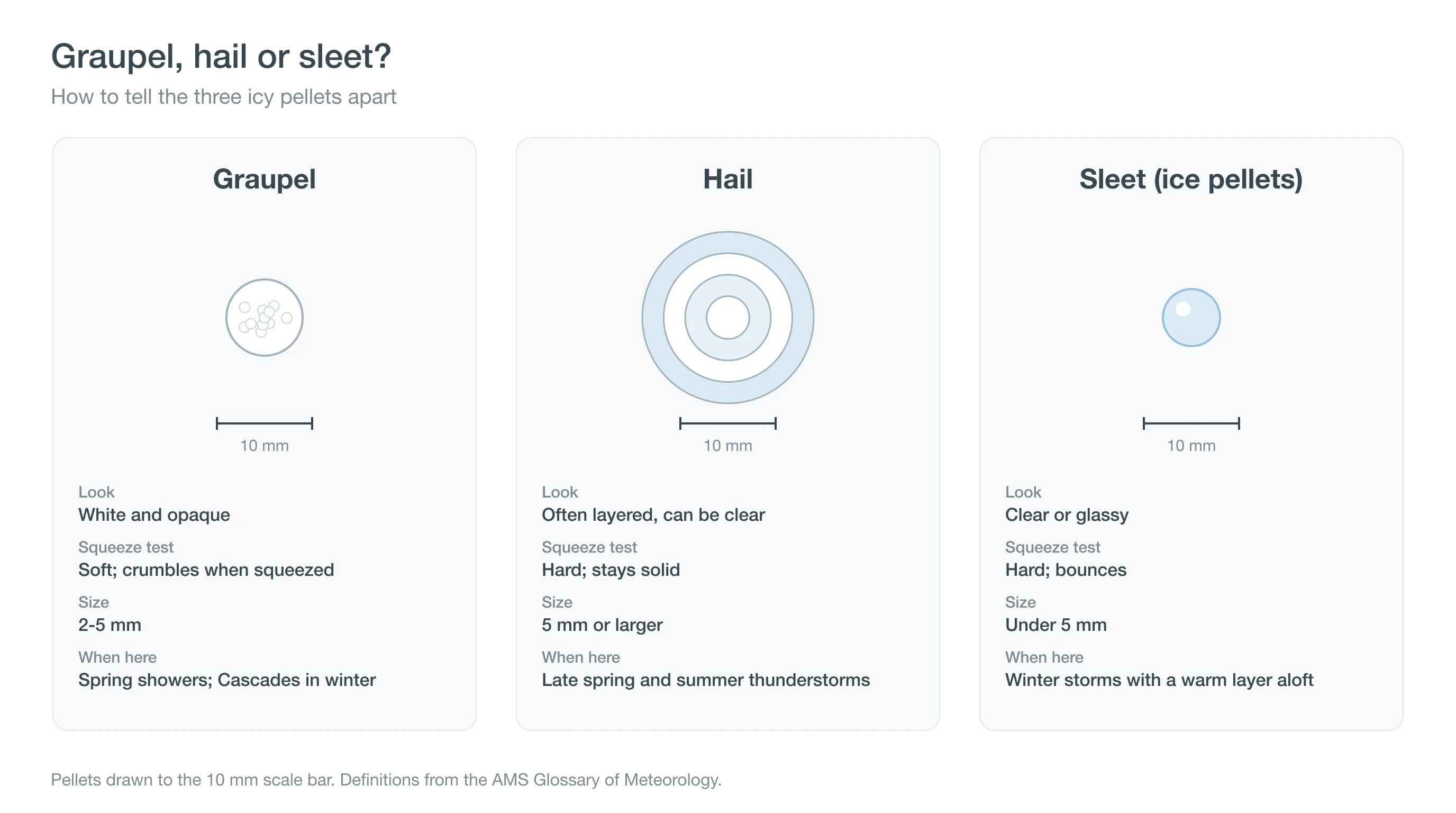 Field guide comparing graupel, hail and sleet by color, hardness and size