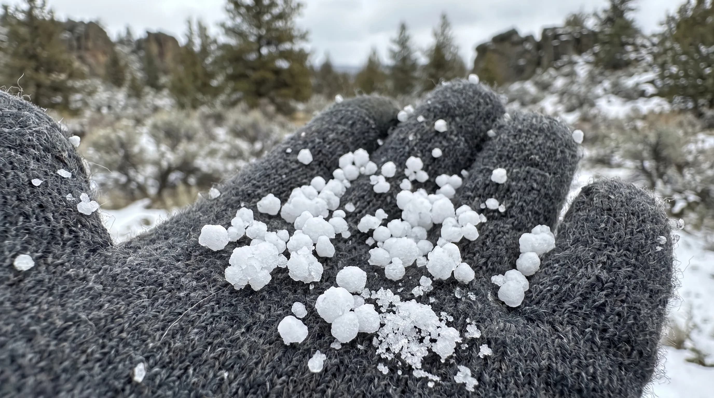 Graupel in Central Oregon: Soft Snow Pellets vs. Hail