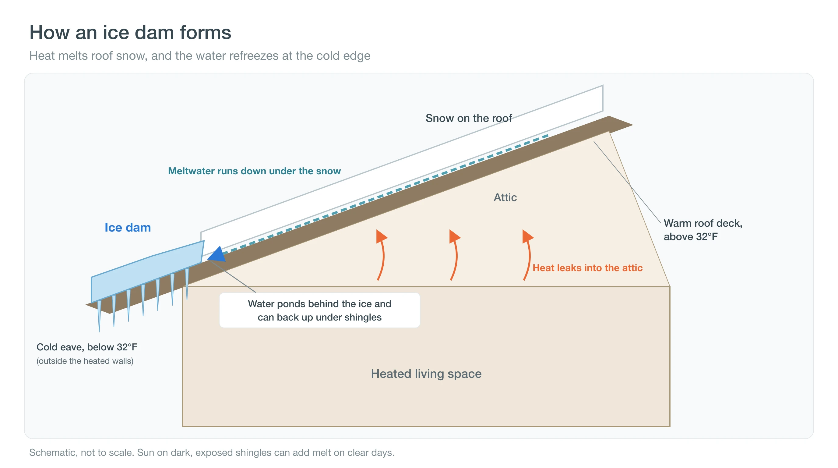 Cross-section of a roof showing attic heat melting snow, water refreezing into an ice dam at the cold eave and backing up under shingles