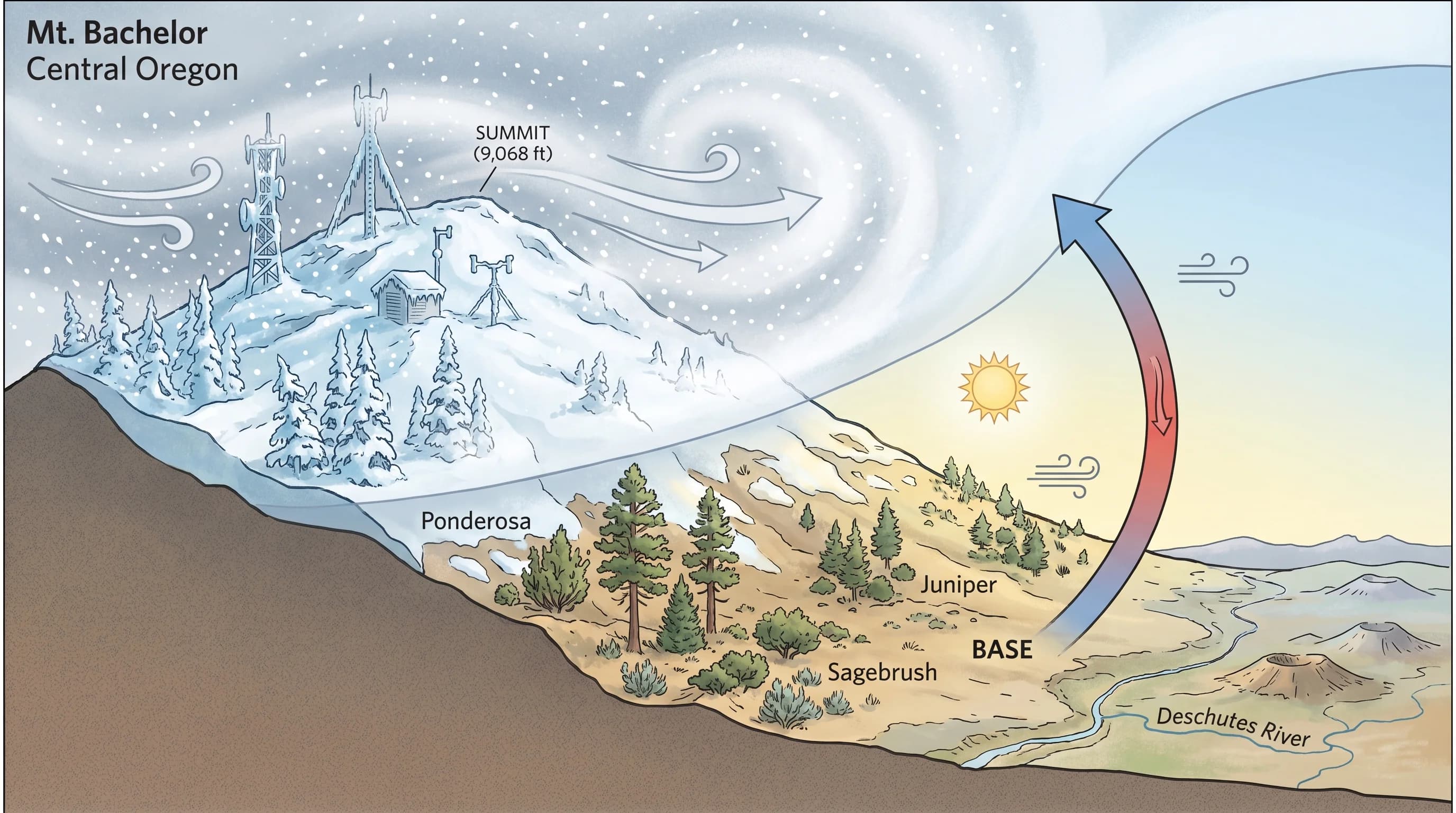 Comparison of same-day base and summit conditions at Mt. Bachelor, temperature, wind, and visibility