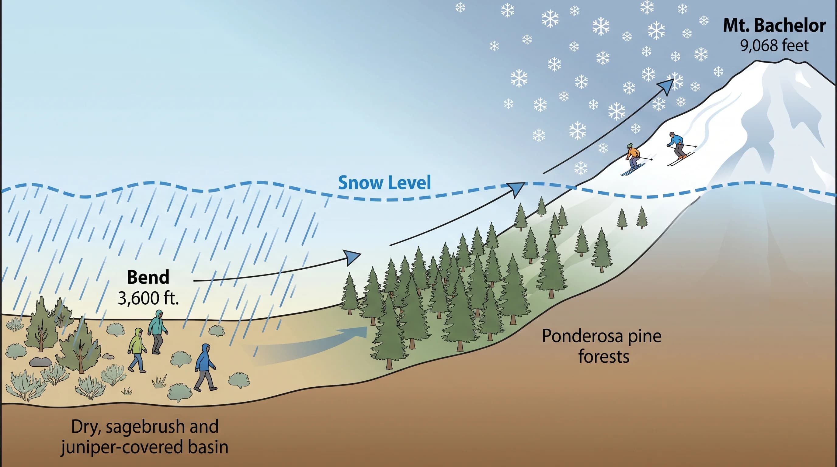 Cross-section from Bend to Mt. Bachelor showing rain below the snow level and snow above